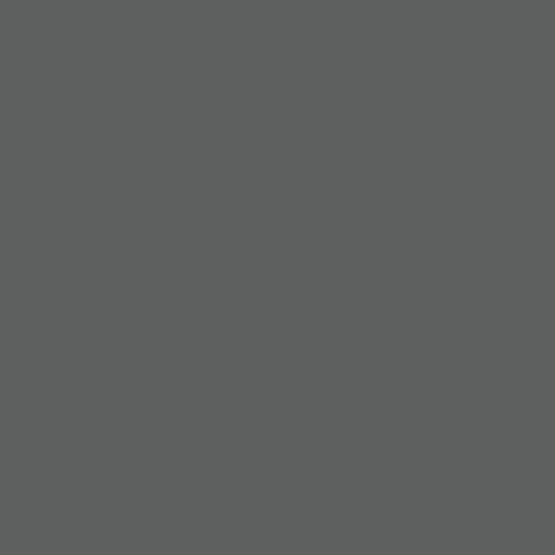 Входная металлическая дверь для частного дома Termoplus Red / Grey (RAL 7024) Терморазрыв, стеклопакет, защита от шума и холода вид 4